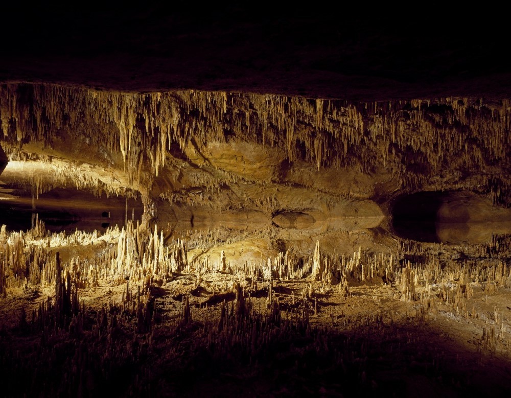 You are currently viewing Differences between stalactites and stalagmites: what are they and how they form?
