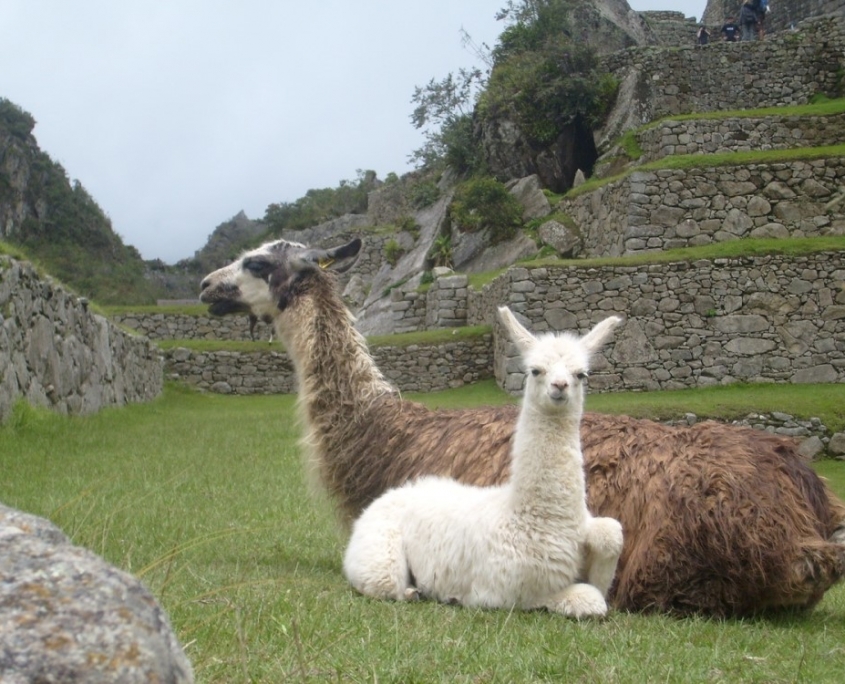 Machu Picchu: how and when was it built - Ingeoexpert EN