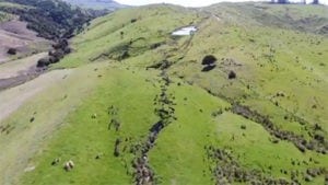 Lee más sobre el artículo Impresionantes desplazamientos de falla a vista de dron tras el terremoto de Nueva Zelanda