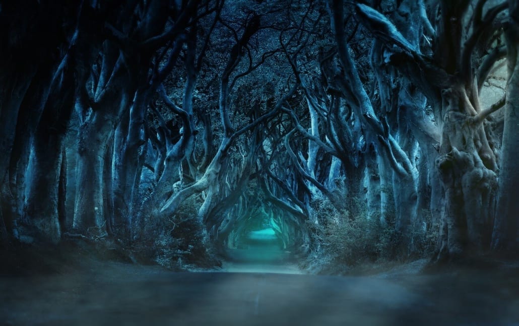 bosque oscuro juego de tronos