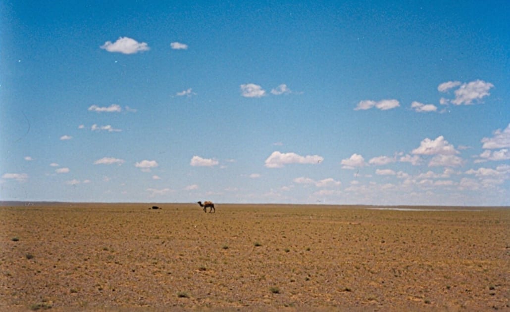 desierto de gobi