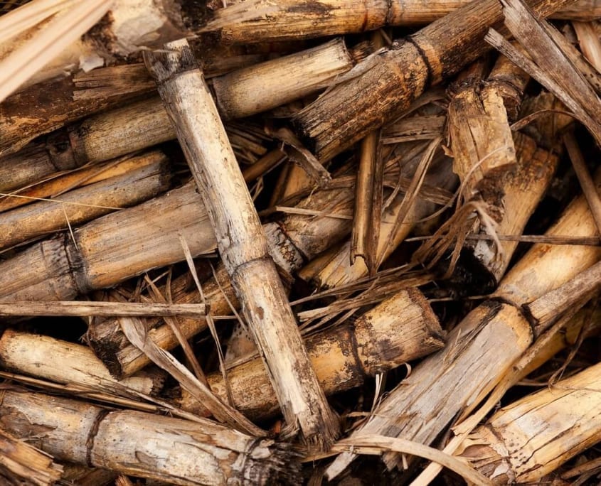 qué es la biomasa