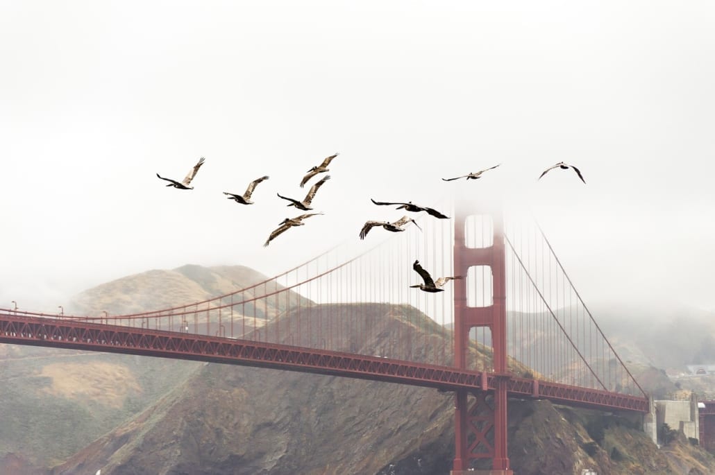 Golden Gate con niebla