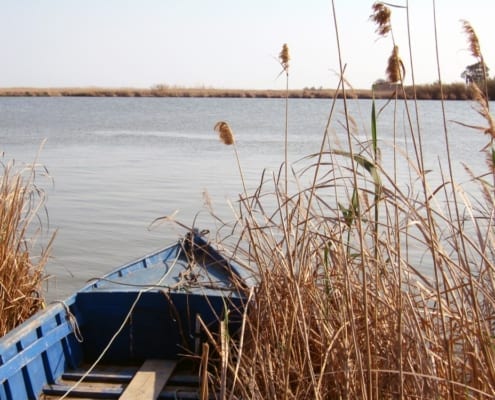 barca en el delta del ebro