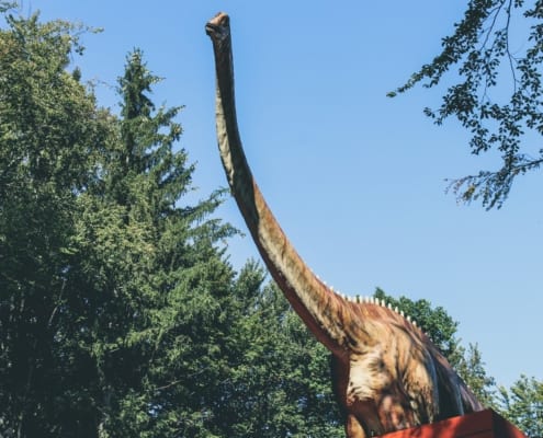 dinosaurio de cuello largo 