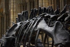 Historia de la dinosauriología