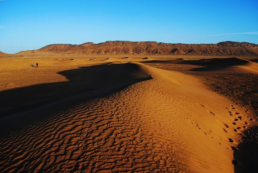 Competir Especialmente famoso Cuál es el desierto más grande del mundo? - Ingeoexpert
