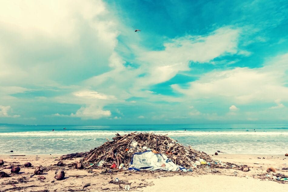 La contaminación del mar: causas y consecuencias | Ingeoexpert