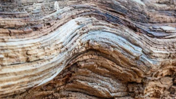 Lee más sobre el artículo ¿Qué es una falla geológica y cuáles son las más importantes?