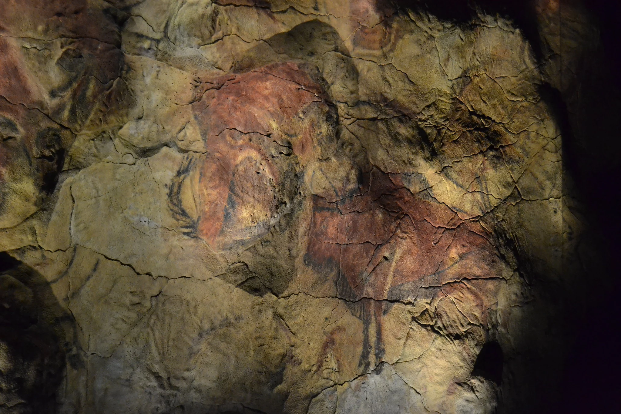 Se puede visitar las cuevas de altamira