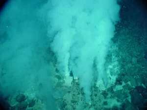 Lee más sobre el artículo ¿Qué es una fumarola submarina y por qué se forman?
