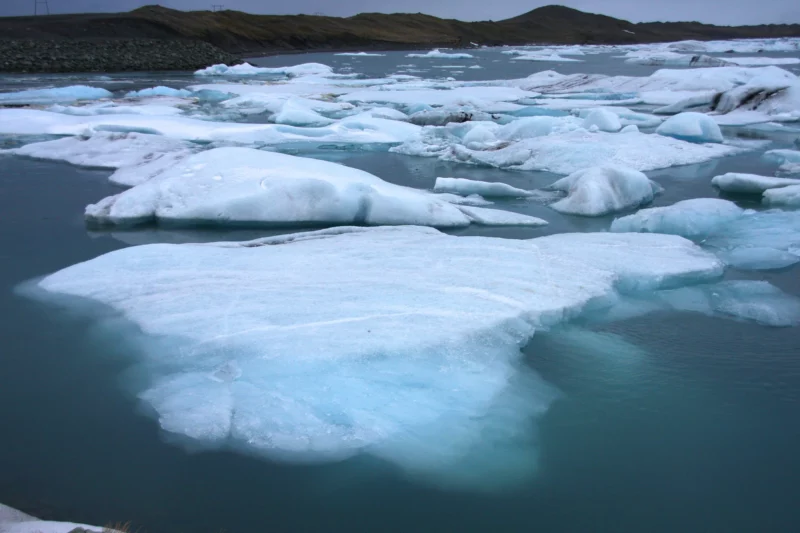 Icebergs en la Laguna