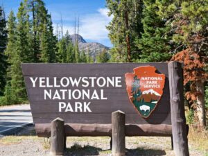 Lee más sobre el artículo Parque Nacional de Yellowstone: géiseres, volcanes y fauna salvaje