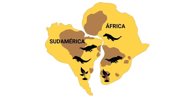 Fotografía representativa de la coincidencia de cadenas montañosas y fósiles entre Sudamérica y África