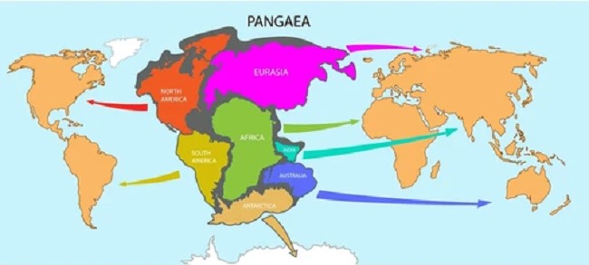 Imagen explicativa de la Teoría de la deriva continental