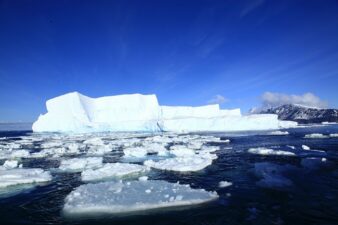 Lee más sobre el artículo Efectos del derretimiento del hielo en los glaciares
